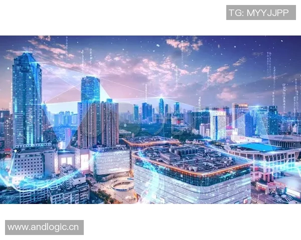 深圳滑板队的转型之路：得失与挑战的深度剖析